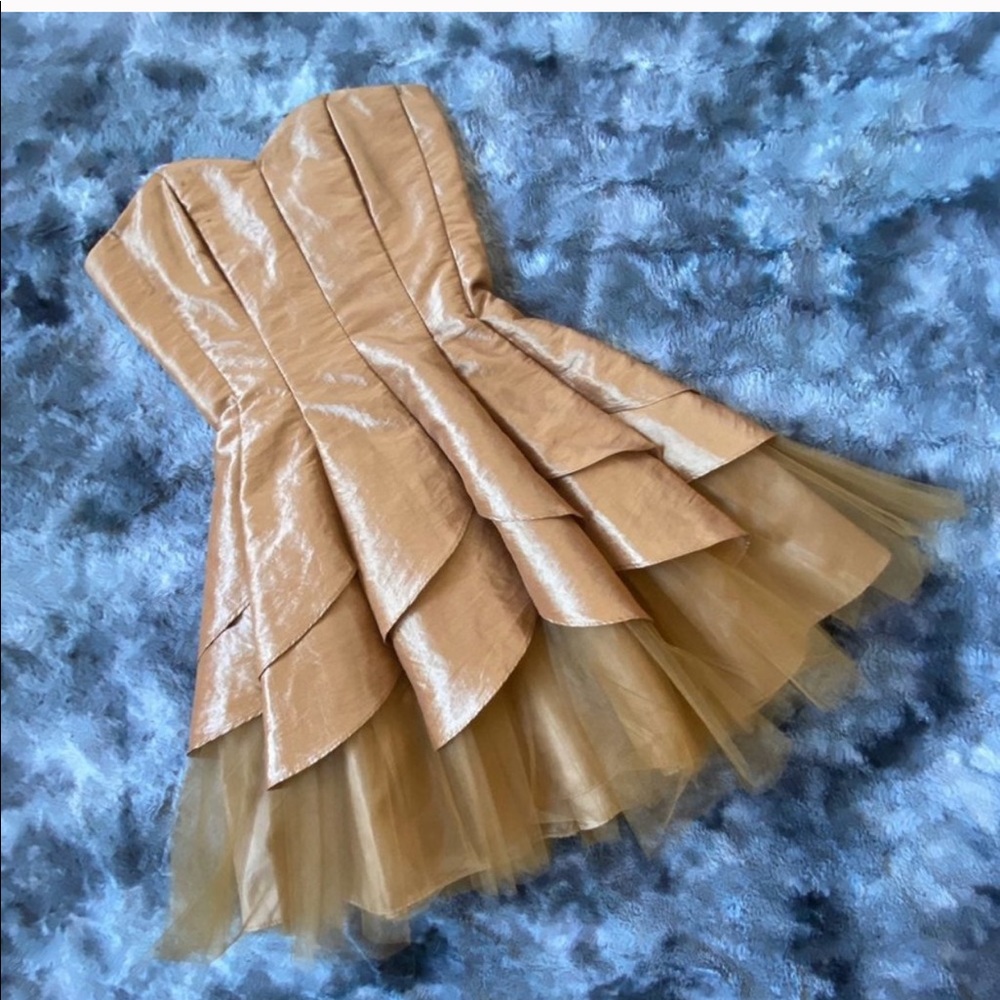 Steppin Out Vintage Tulle Fairy Dress